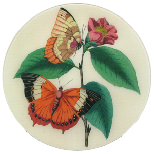 16R-Orange-Butterflies_large