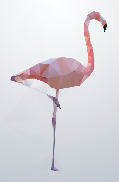 flamingo-6