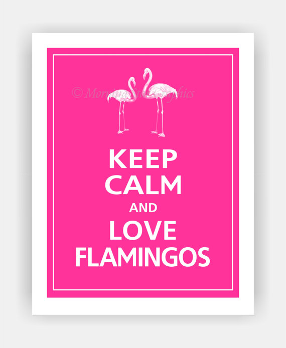 flamingo-7