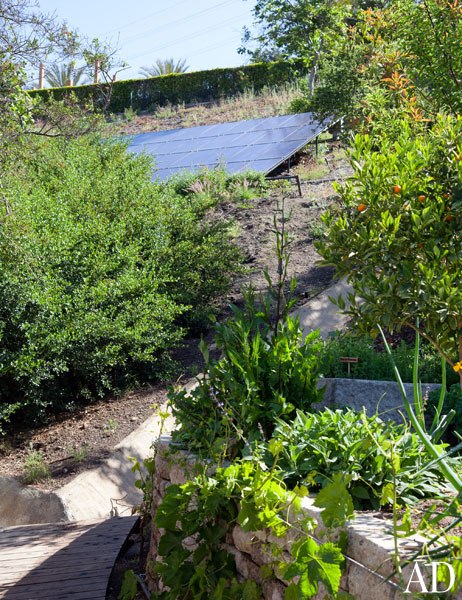item2.rendition.slideshowWideVertical.eco-tips-03-gisele-bundchen-solar-panel-energy-garden