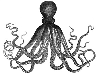 1a-octopus-graphicsfairy004bw2