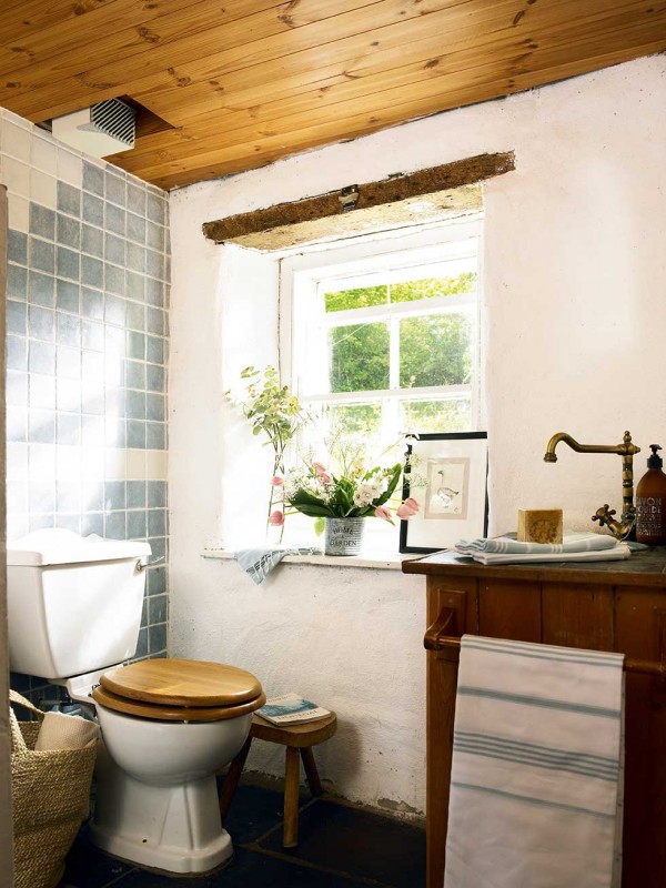 Graham-thatched-cottage-toilet-bathroom